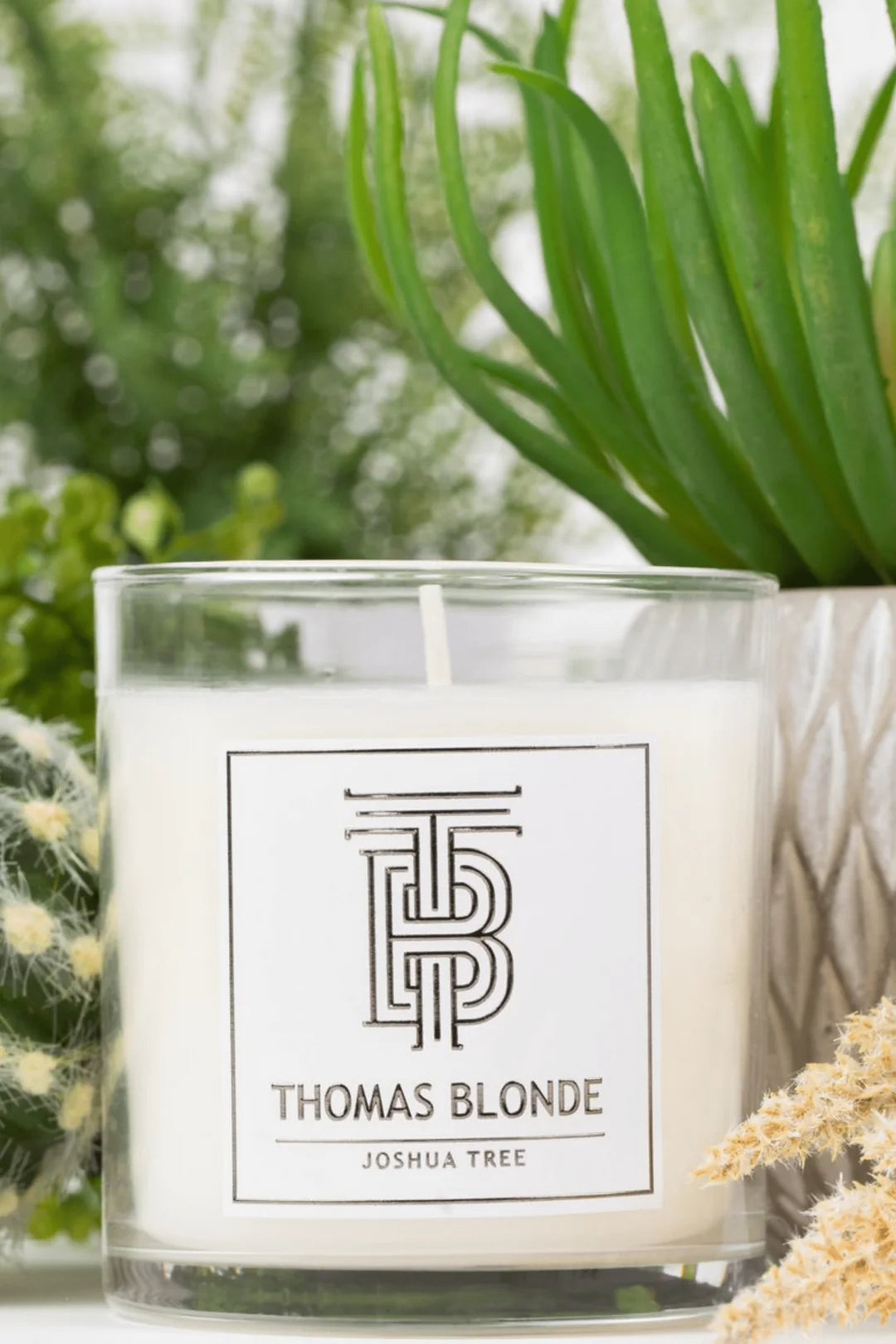 Joshua Tree Candle 12 oz.