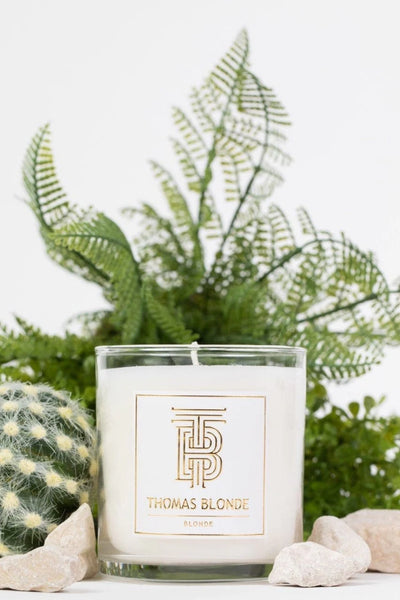 Signature Scent Blonde Candle 12 oz.